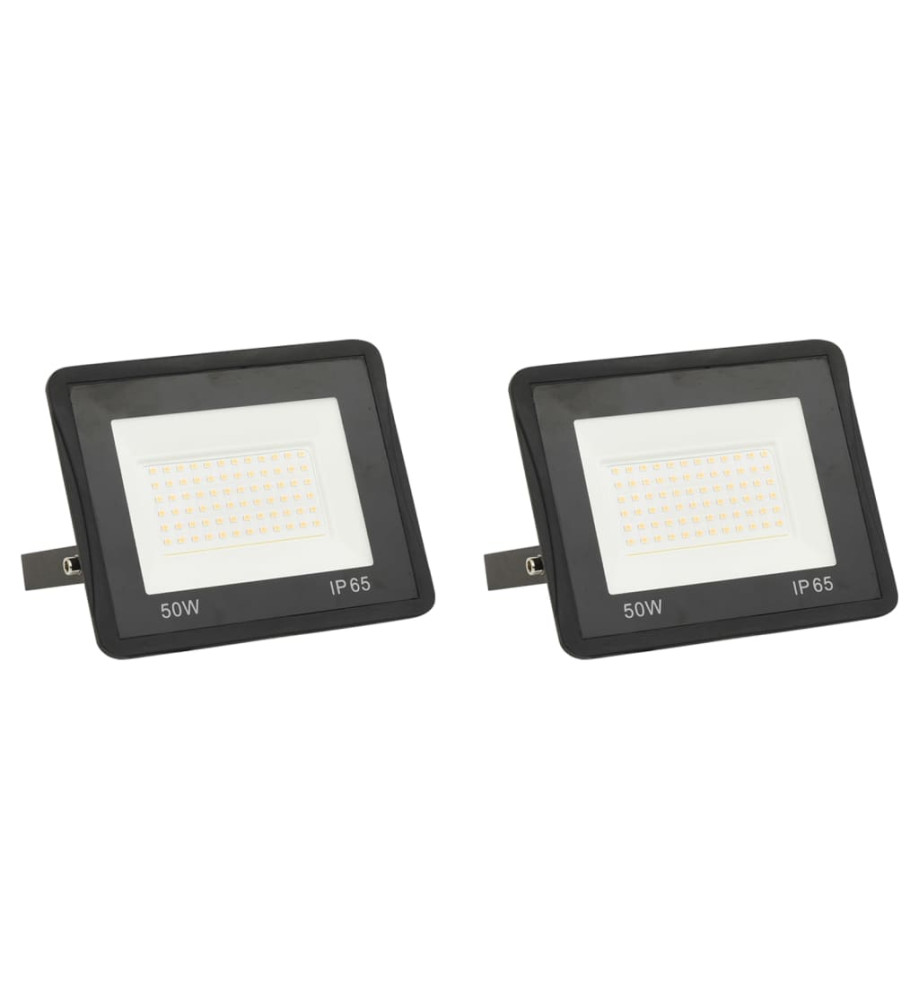 Projecteurs à LED 2 pcs 50 W Blanc froid