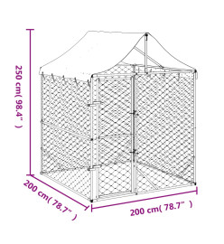 Chenil d'extérieur pour chiens avec toit argenté 2x2x2,5 m