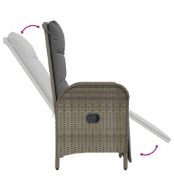 Mobilier à dîner de jardin 4pcs et coussins Gris Résine tressée