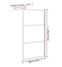 Paroi de douche 100x195 cm Verre ESG foncé Noir