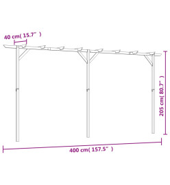 Pergola de jardin 400 x 40 x 205 cm Bois