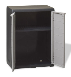 Armoire de rangement de jardin avec 1 étagère Noir et gris