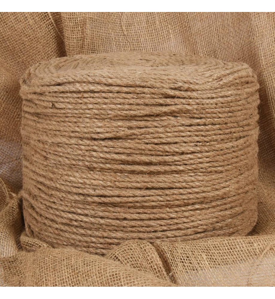 Corde de jute 250 m de long 8 mm d'épaisseur