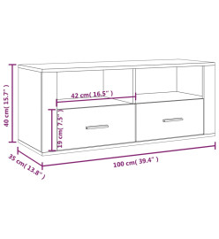 Meuble TV Chêne sonoma 100x35x40 cm Bois d'ingénierie