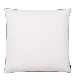 Oreiller 2 pcs Remplissage de duvet 80 x 80 cm Blanc