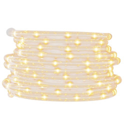 Cordon lumineux avec 1200 LED Blanc chaud 50 m PVC