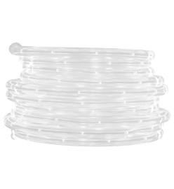 Cordon lumineux avec 480 LED Multicolore 20 m PVC