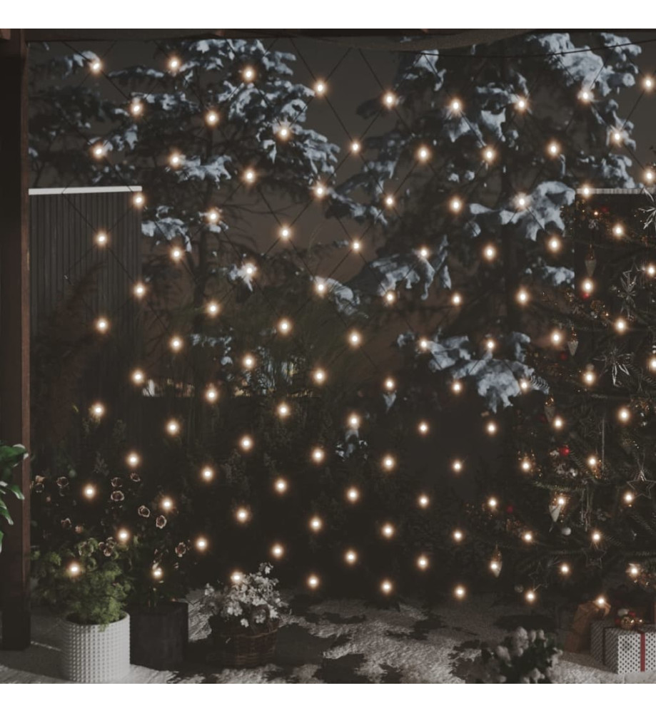 Filet lumineux blanc chaud de Noël 3x3 m 306 LED Int/ext