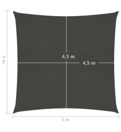 Voile d'ombrage 160 g/m² Anthracite 5x5 m PEHD