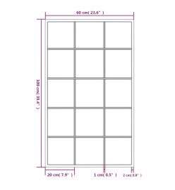 Miroirs muraux 2 pcs noir 100x60 cm métal