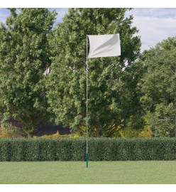 Mât de drapeau télescopique Argenté 5,55 m Aluminium