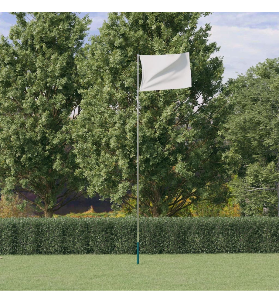 Mât de drapeau télescopique Argenté 5,55 m Aluminium