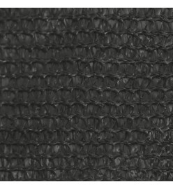 Voile d'ombrage 160 g/m² Anthracite 3x3x3 m PEHD