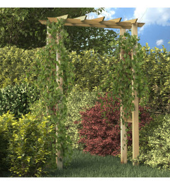 Arche pour rosiers 150 x 60 x 204 cm Bois imprégné