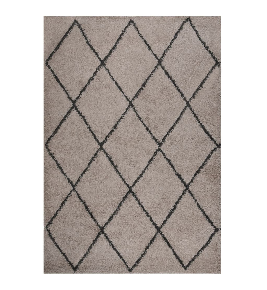 Tapis shaggy à poils longs Beige et anthracite 160x230 cm