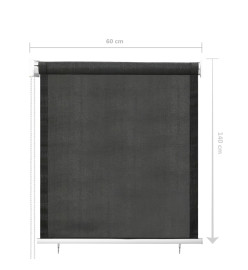 Store roulant d'extérieur 60x140 cm Anthracite