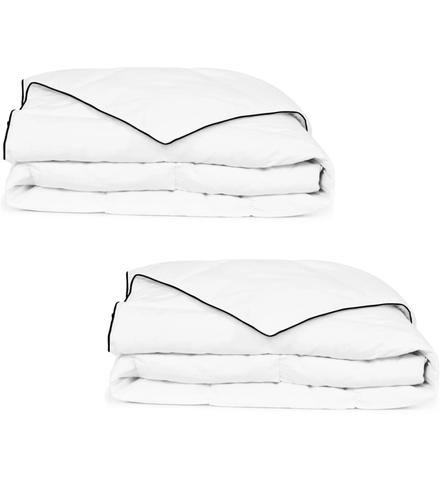 Couette en duvet d'hiver 2 pcs 150 x 200 cm