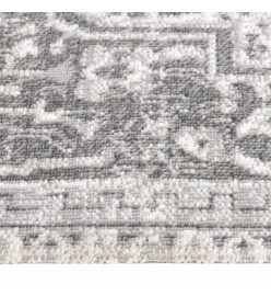 Tapis à tissage plat d'extérieur 100x200 cm Gris clair