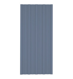 Panneaux de toiture 12 pcs Acier galvanisé Gris 100x45 cm