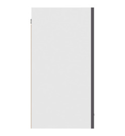 Armoire suspendue Gris brillant 80x31x60 cm Aggloméré