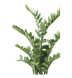 Emerald Zamioculcas artificiel Vert 110 cm 11.662C