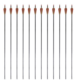 12 flèches standard en carbone 30" 0,76 cm pour arc classique