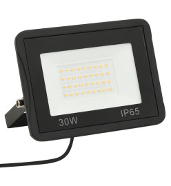 Projecteurs à LED 2 pcs 30 W Blanc froid