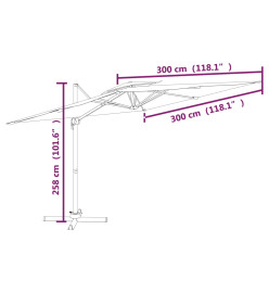 Parasol cantilever à double toit Anthracite 300x300 cm