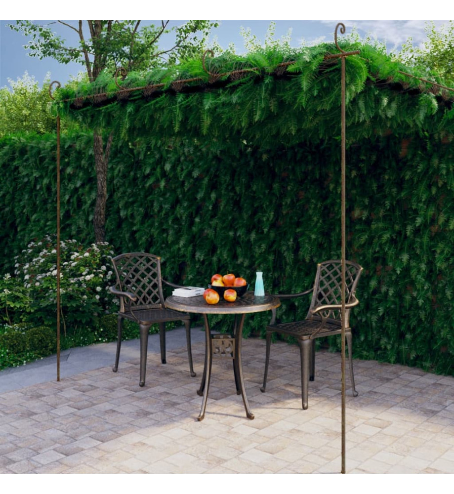 Pergola de jardin Marron antique 4x3x2,5 m Fer