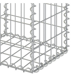 Paniers de gabion 2 pcs Acier galvanisé 30x30x40 cm