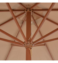 Parasol d'extérieur avec mât en bois 300 cm Taupe