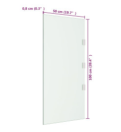 Panneau d'auvent de porte Transparent 50x100 cm Verre trempé