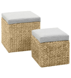 Repose-pied 2 pcs Jacinthe d'eau Gris