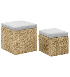 Repose-pied 2 pcs Jacinthe d'eau Gris