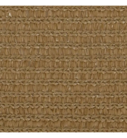 Voile d'ombrage 160 g/m² Taupe 5x5x6 m PEHD