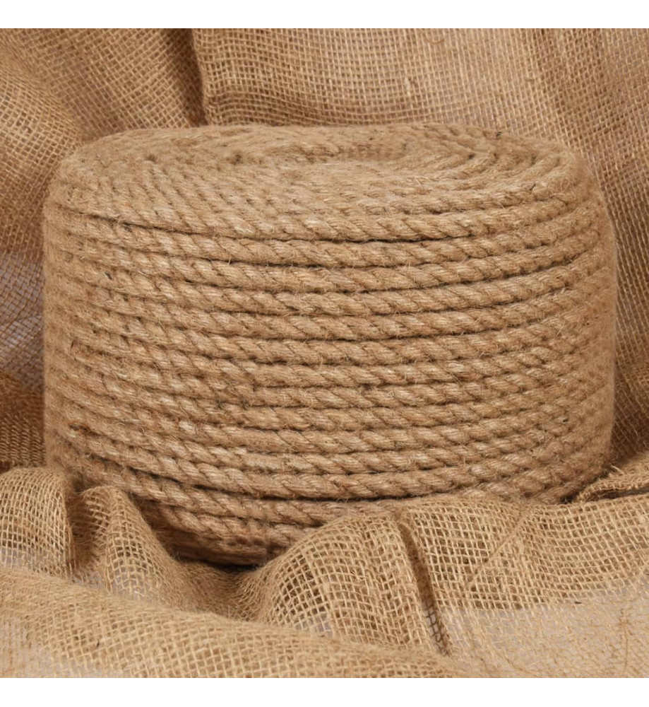 Corde de jute 25 m de long 10 mm d'épaisseur