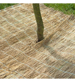 Nature Bâche de protection hivernale Paille de riz 1x1,5 m