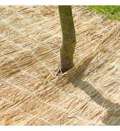 Nature Bâche de protection hivernale Paille de riz 1x1,5 m