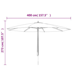 Parasol de jardin avec mât en bois rouge bordeaux 400x273 cm