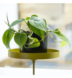 Esschert Design Plateau pour plantes avec pince Rond Doré M