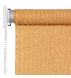 Store roulant d'extérieur 80x140 cm Beige