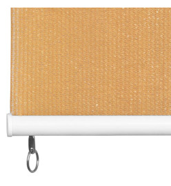Store roulant d'extérieur 80x140 cm Beige