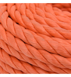 Corde de travail Orange 10 mm 25 m Polypropylène