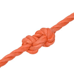 Corde de travail Orange 10 mm 25 m Polypropylène