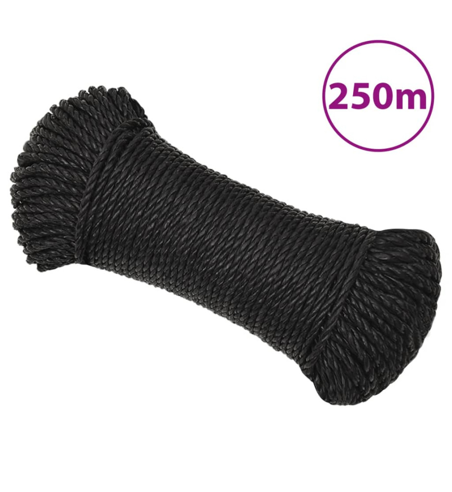 Corde de travail Noir 3 mm 250 m polypropylène