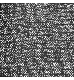 Filet brise-vue Noir 3,6x25 m PEHD 195 g/m²