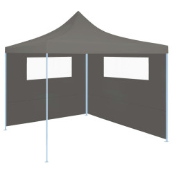 Paroi latérale de belvédère avec fenêtres 6x2 m Anthracite