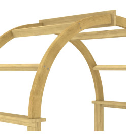 Arche 141x97x243 cm Bois de pin massif imprégné