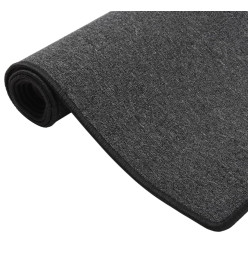 Tapis de couloir Anthracite 80x250 cm