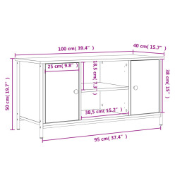 Meuble TV Chêne sonoma 100x40x50 cm Bois d'ingénierie